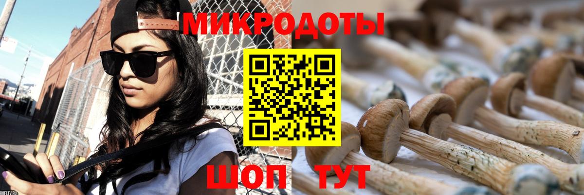 Псилоцибиновые грибы Psilocybine cubensis Кингисепп