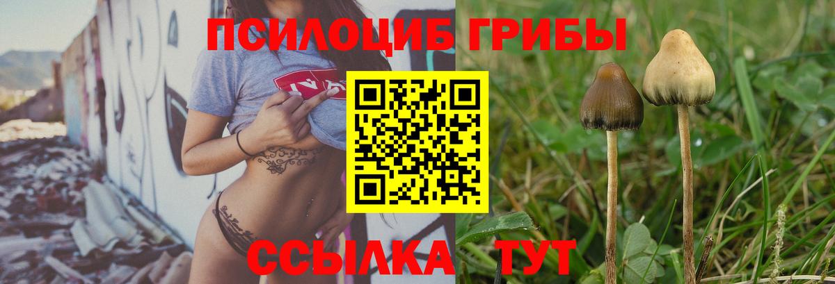 Псилоцибиновые грибы прущие грибы  Вход с VPN  Кингисепп 