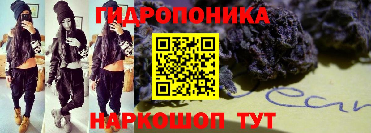 Бошки Шишки тримм  Марихуана VHQ  Шишки марихуана MAZAR  Бошки Шишки Bruce Banner  Вход с VPN  Кингисепп 